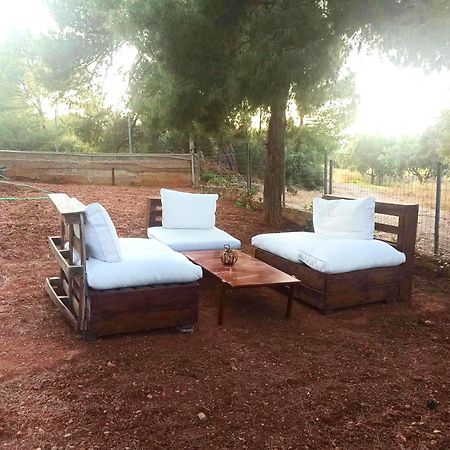 Elena'S Farm House Near Airport And Artemida Beach Екстериор снимка