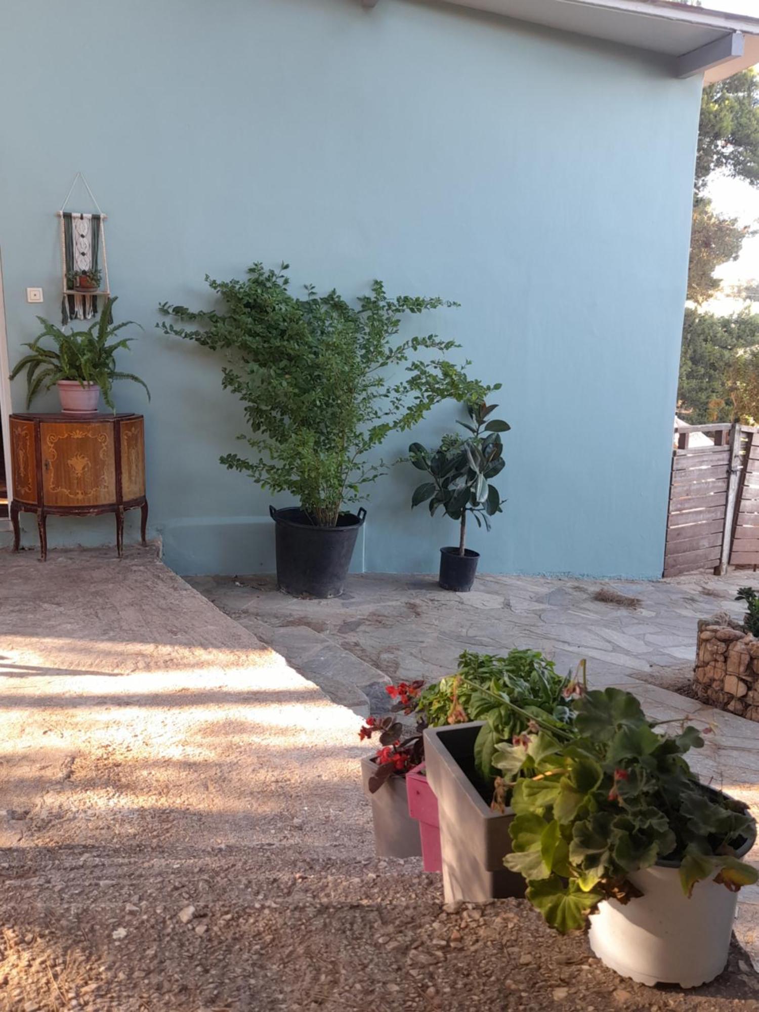 Elena'S Farm House Near Airport And Artemida Beach Екстериор снимка